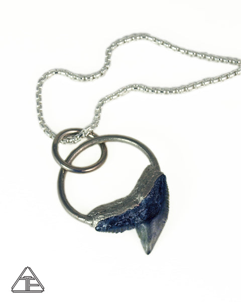 Tiger Shark Tooth Crystal Talisman Pendant