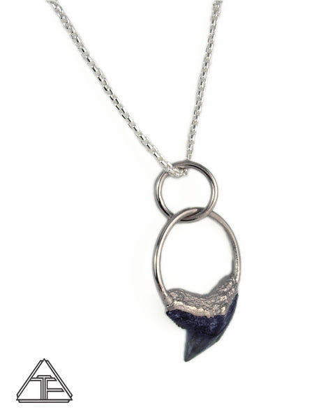 Tiger Shark Tooth Crystal Talisman Pendant