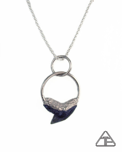 Tiger Shark Tooth Crystal Talisman Pendant