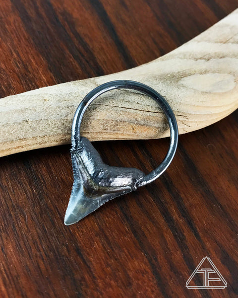 Bull Shark Tooth Crystal Talisman Pendant Choker