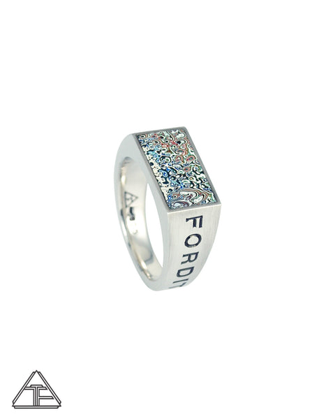 Lux Signet Ring: Engraved with Speckled Fordite Inlay